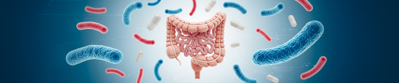 Gut Health